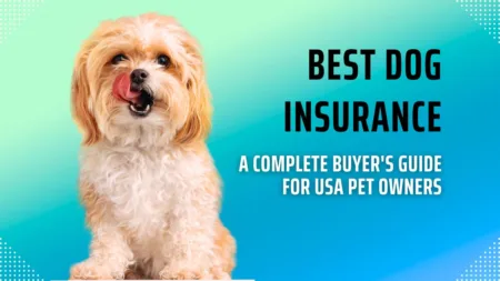 Dog Insurance